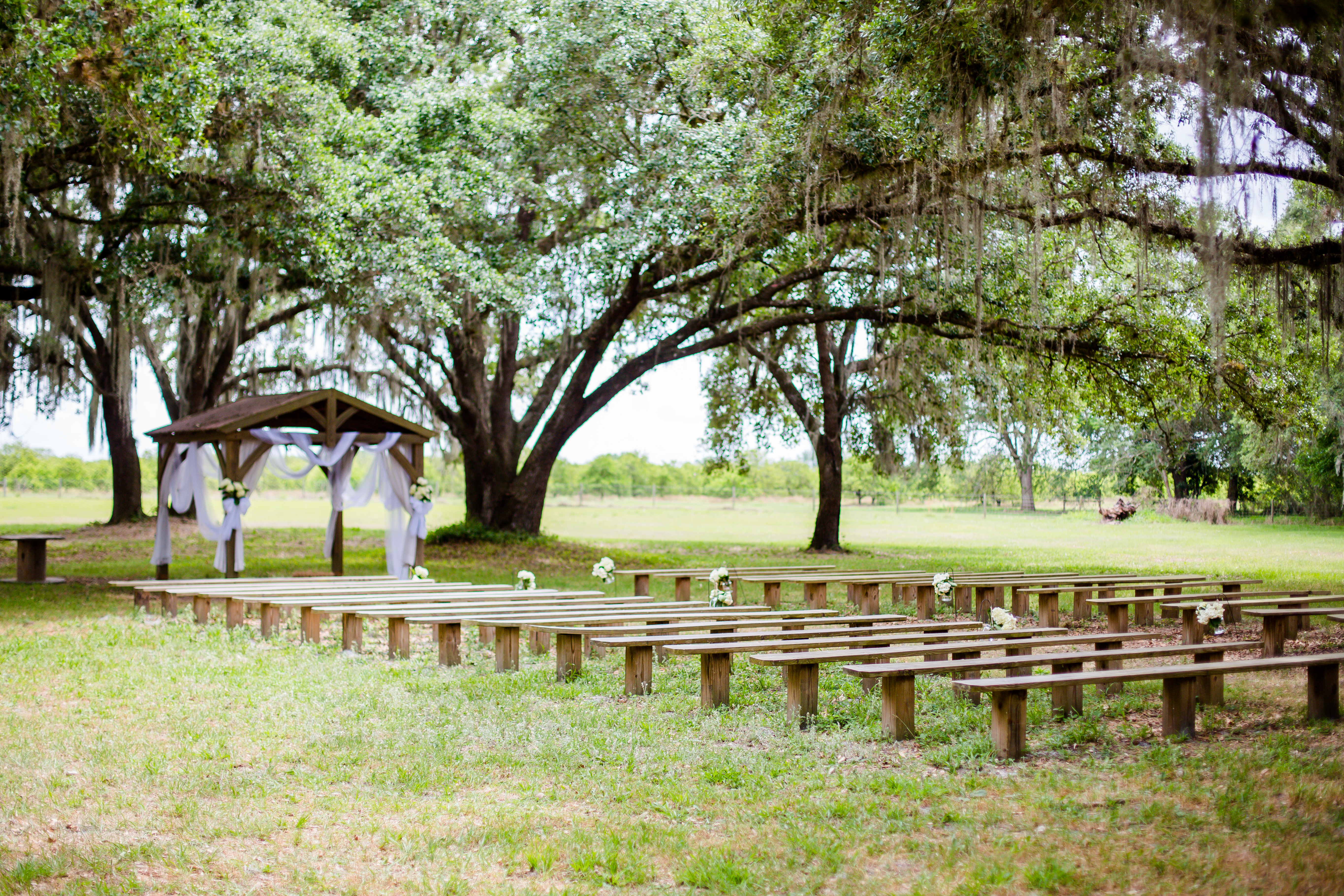 Wedding Ceremony; Oaks of Devonaire Wedding; Precious Moments Events