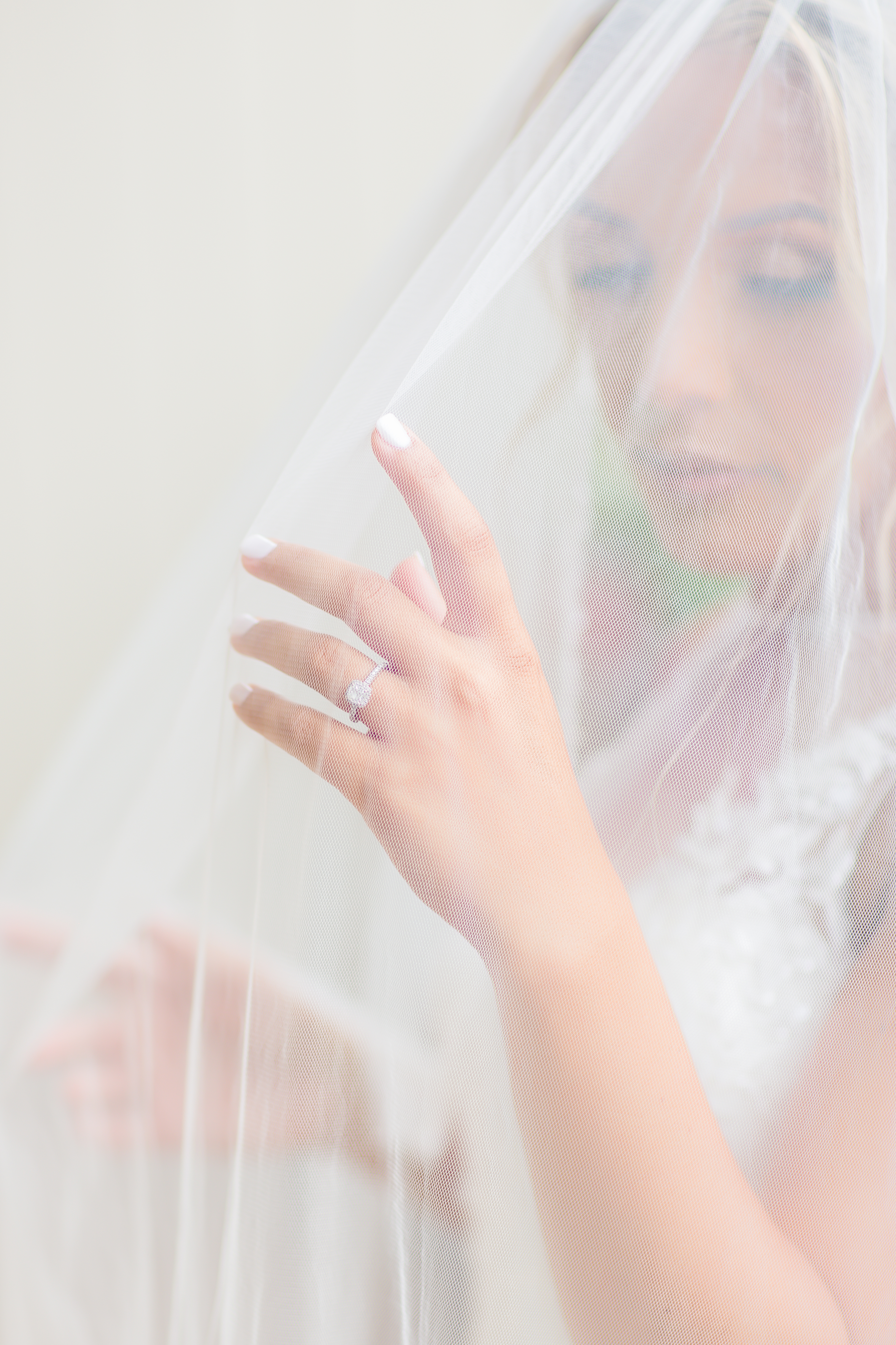 bridal portraits with veil