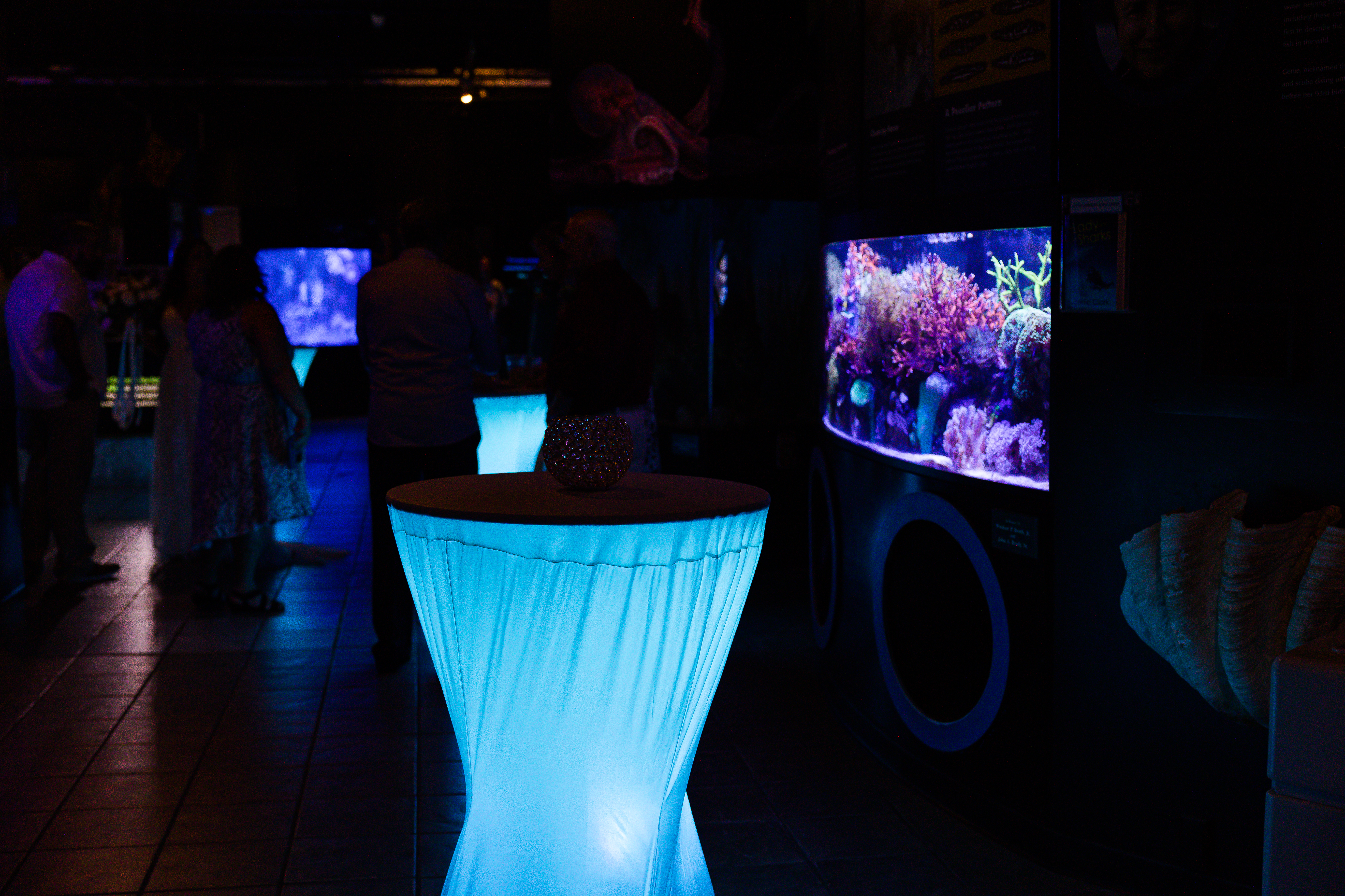 Cocktail Tables Mote Marine Laboratory & Aquarium Wedding; Precious Moments Events Wedding