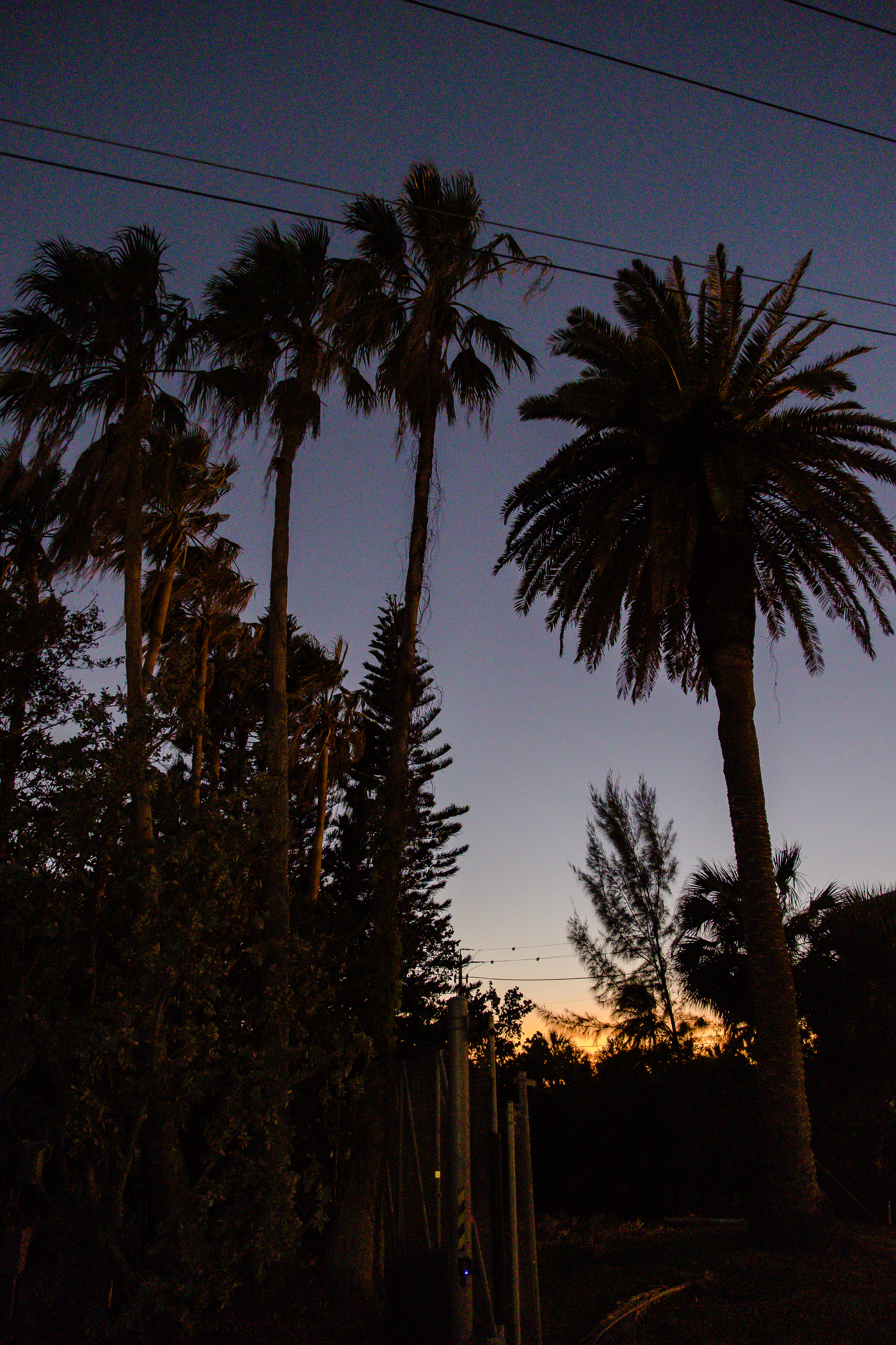 Sunset Mote Marine Laboratory & Aquarium Wedding; Precious Moments Events Wedding