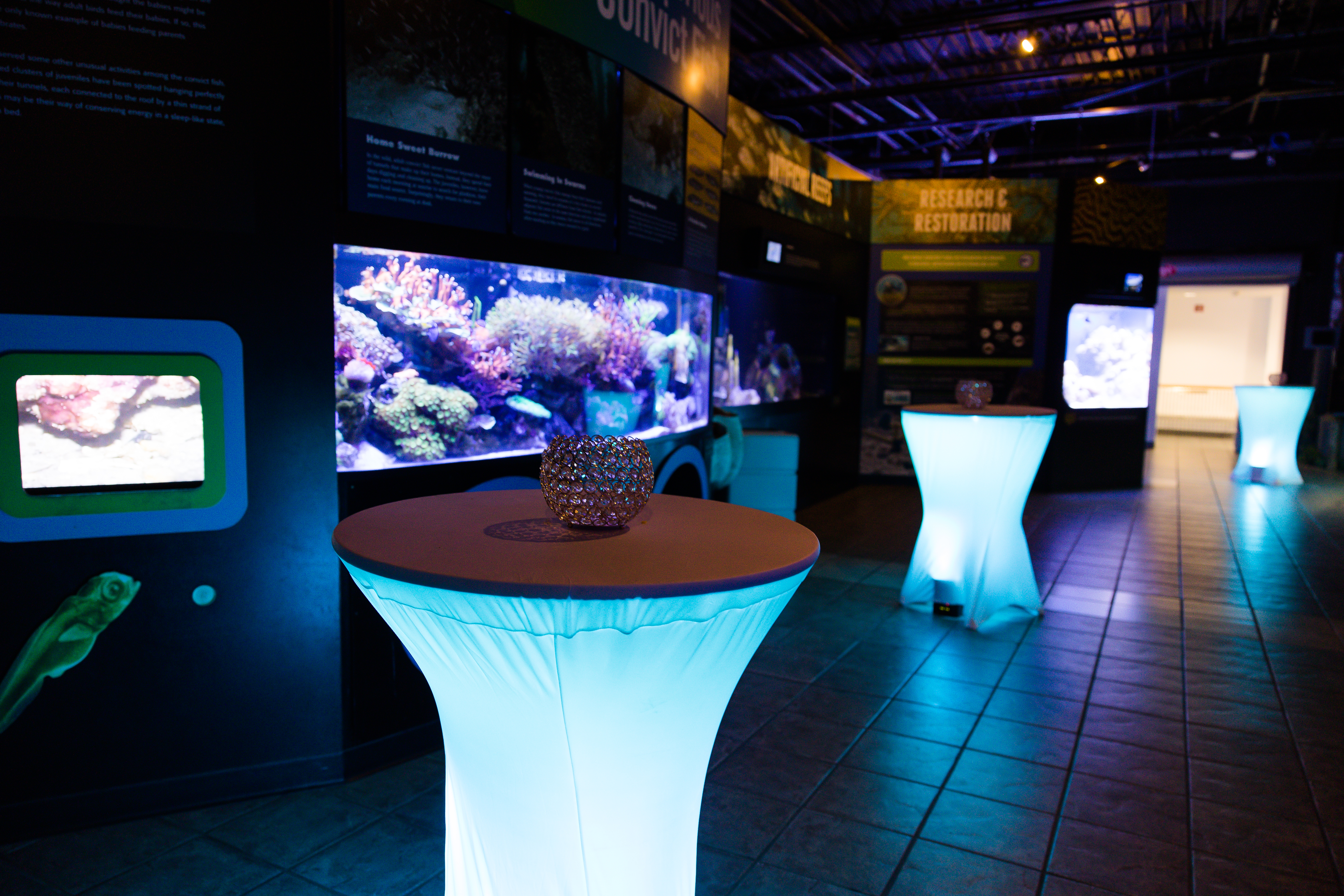 Cocktail tables illuminated in with blue lights in a dark aquarium room with large fish tank in the back.