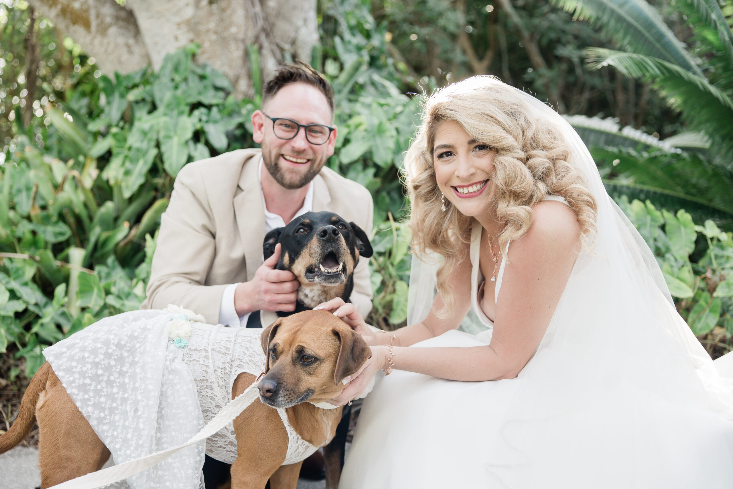 bride and groom with their dogs