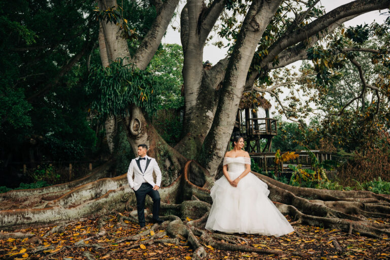 bride and groom portraits under large tree at Marie Selby Botanical Gardens