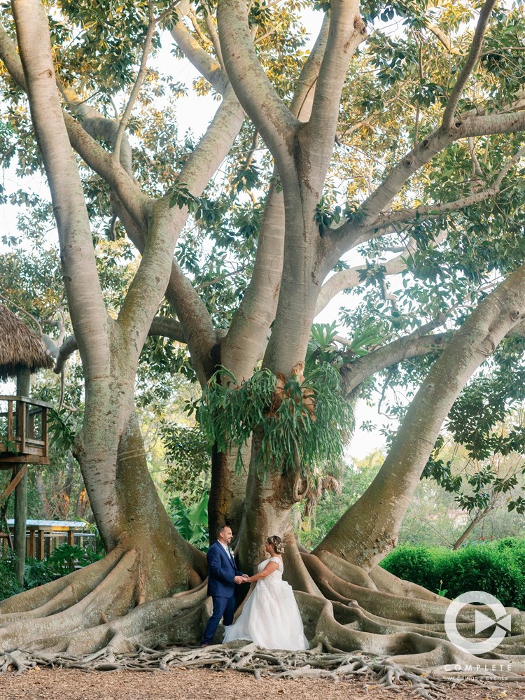 wedding portraits under large tree at Marie Selby Botanical Gardens 