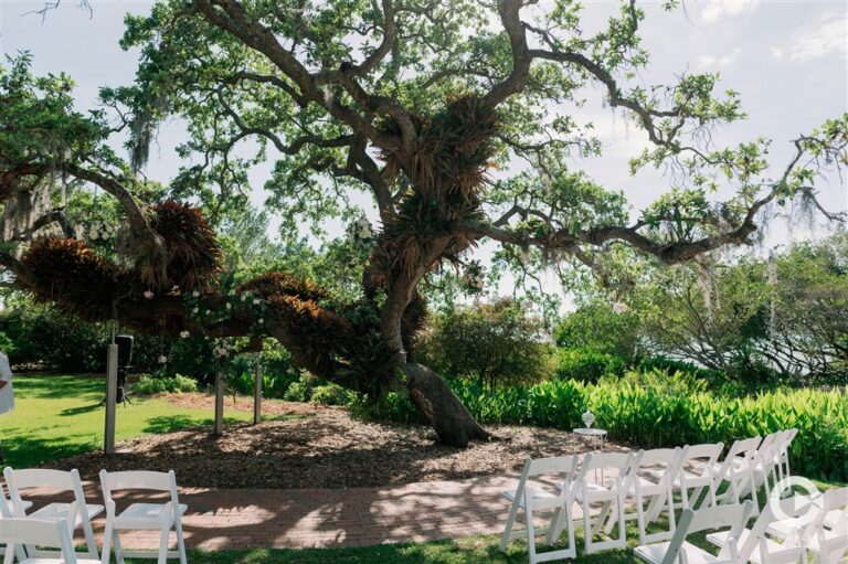 outdoor wedding ceremony at Marie Selby Botanical Gardens 