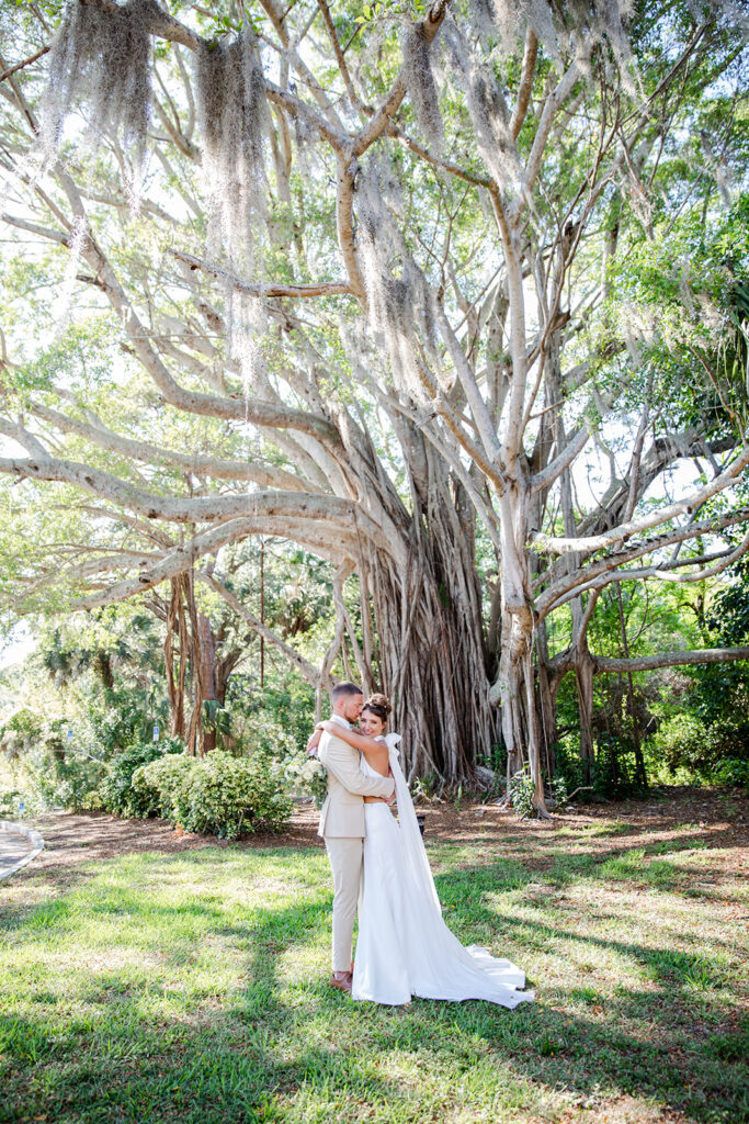 bride and groom under Strangler Fig tree