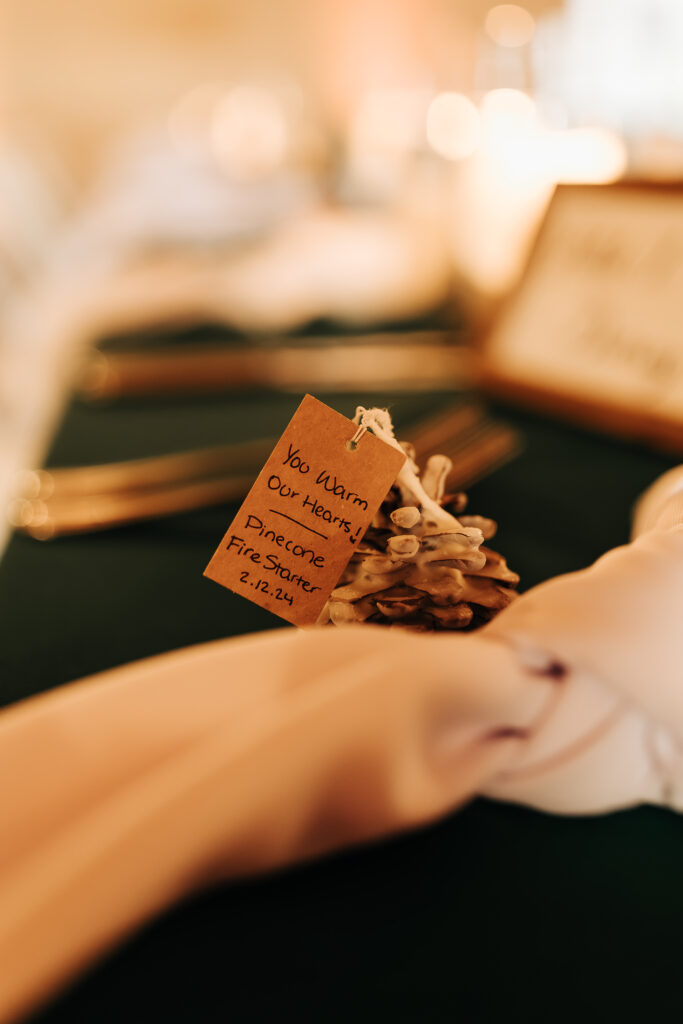 pine cone fire starter wedding favors