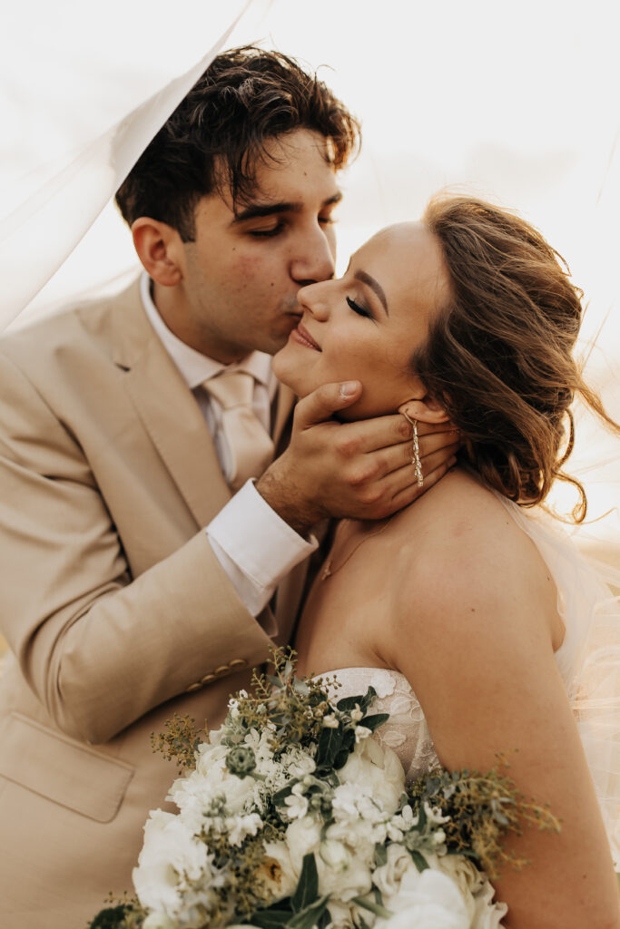 bride and groom portraits with veil