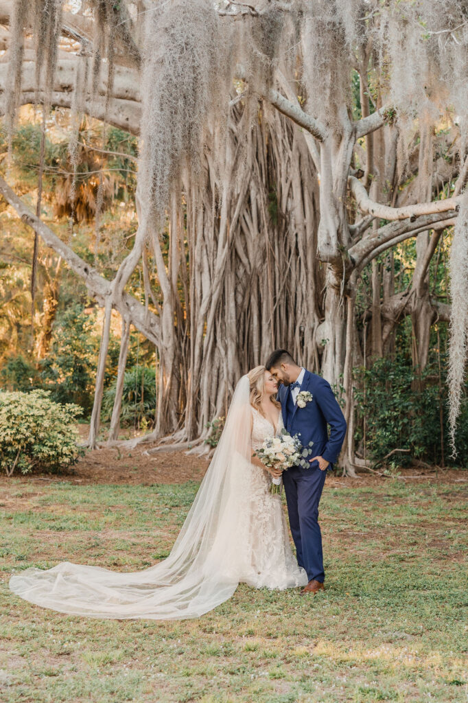 bride and groom under Florida tree