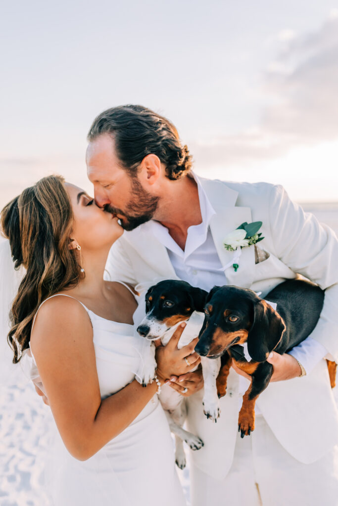 bride and groom with their dogs. 