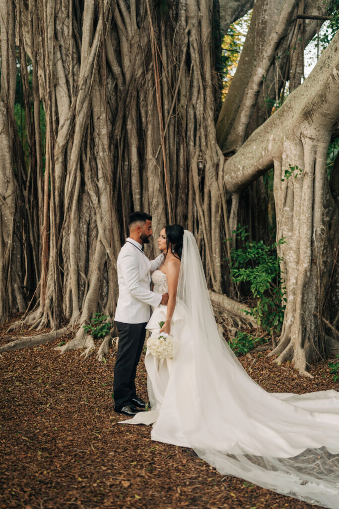 bride and groom portraits under large Florida tree